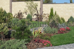 design_landscape (12)